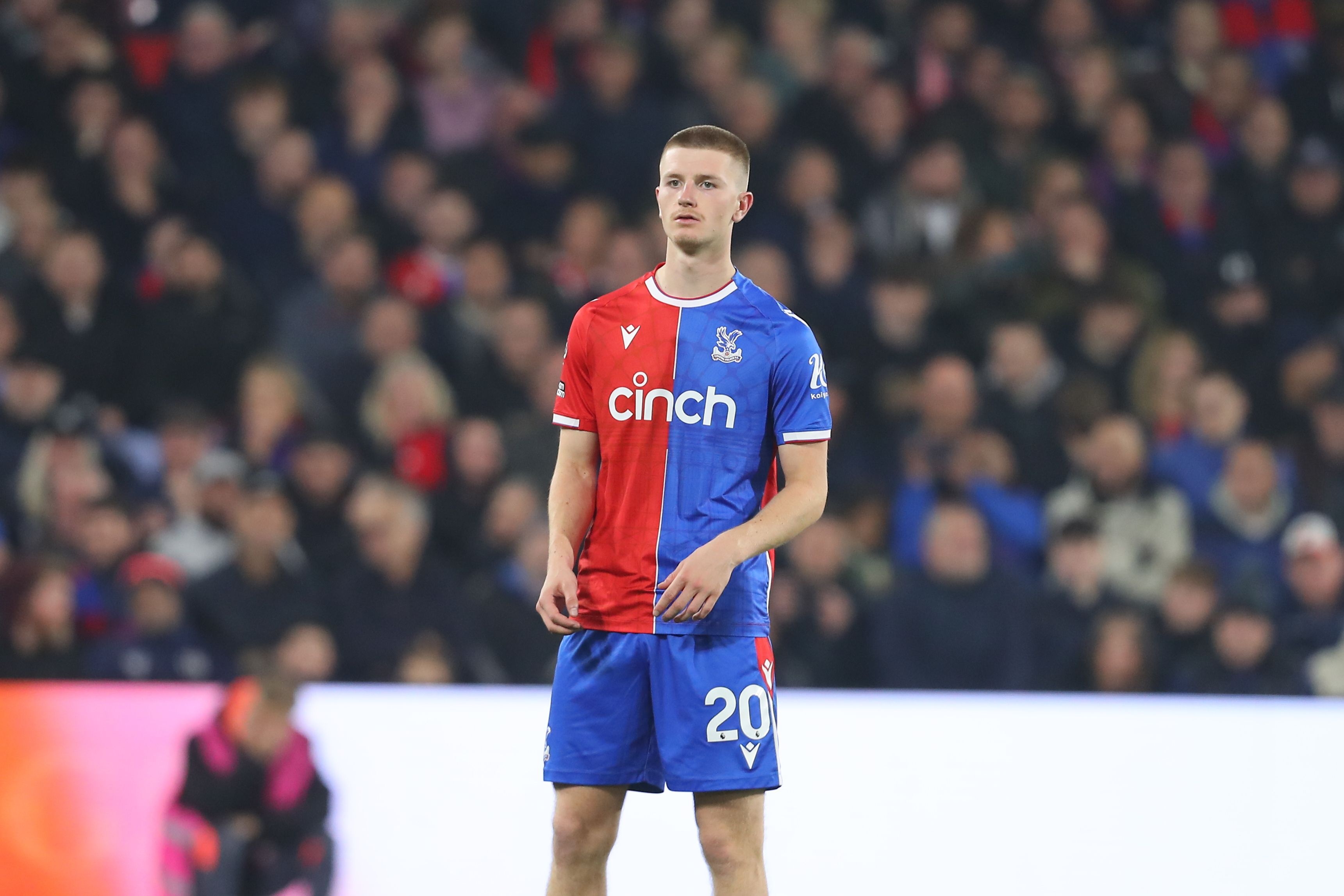 人兴奋的项 人兴奋的项